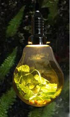 Dax - Garden Ball Pendant Light